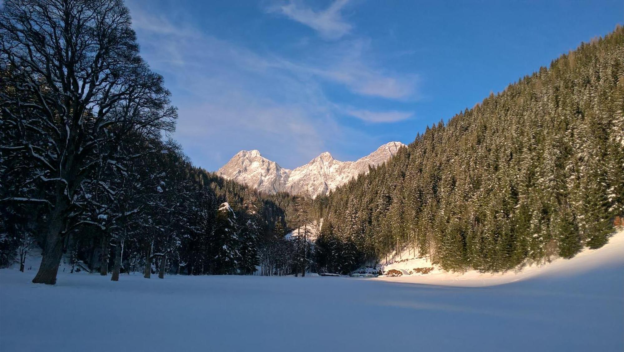 Alpenrose Boutique Chalet Gretl Ramsau am Dachstein Luaran gambar
