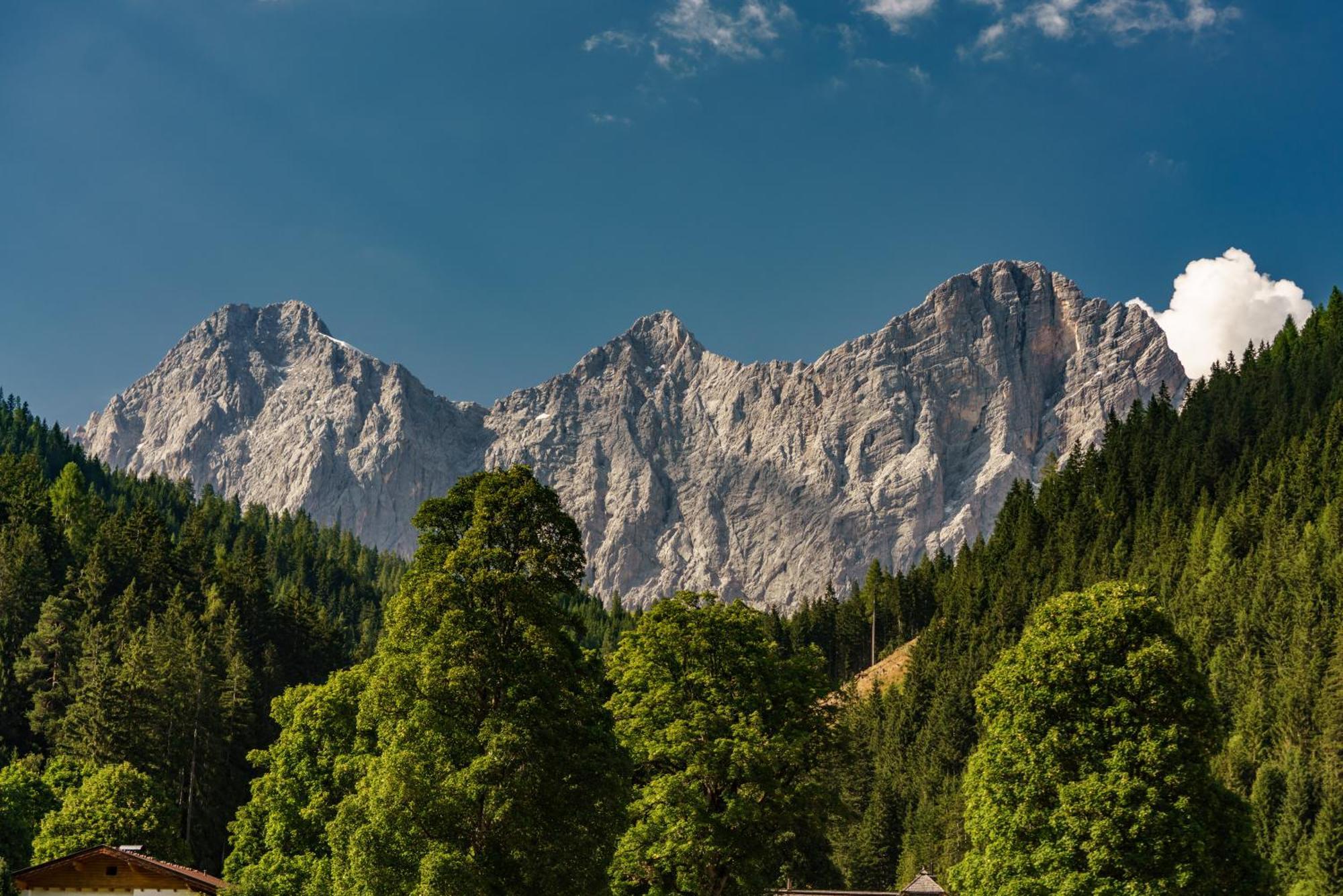 Alpenrose Boutique Chalet Gretl Ramsau am Dachstein Luaran gambar